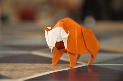 Bison_2_-_Avant.jpg