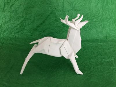 Cerf.jpg