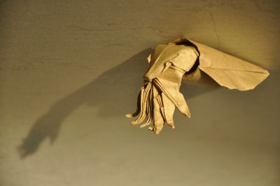 Cuttlefish_3.jpg