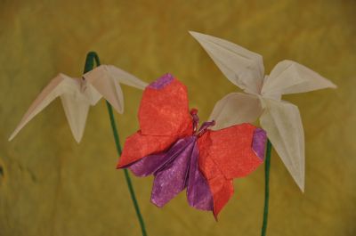 DSC_0961~1.jpg