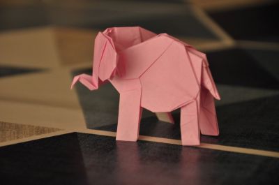 Elephanteau_-_Arriere.jpg