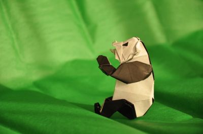 Panda_grimpeur_2.jpg