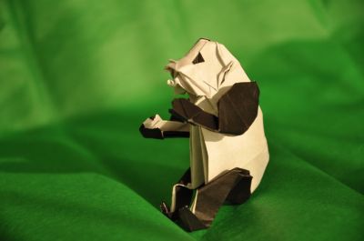 Panda_grimpeur_3.jpg