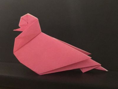 Pigeon_-_Adam_Gaillet.jpg