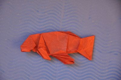 Poisson_Apr-2017.jpg