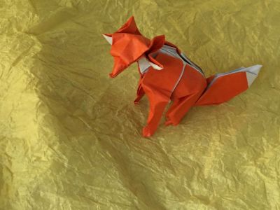 Renard_assis_24-Jun-18.jpg