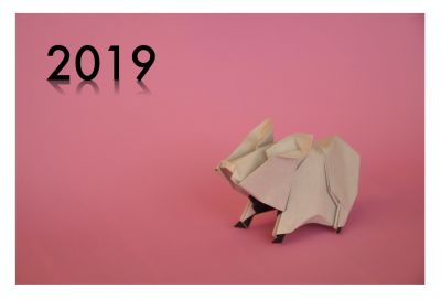 Voeux_2019.jpg