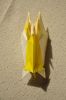 Nom du fichier=Base_Owl_de_Yoo_Tae_Long_-_De_bout.jpg
Taille du fichier=326Ko
Dimensions : 1024x1542
Ajouté le : 02 Juin 2017 Base_Owl_de_Yoo_Tae_Long_-_De_bout.jpg