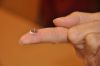 Nom du fichier=DSC_7329.jpg
Taille du fichier=67Ko
Dimensions : 1024x680
Ajouté le : 12 Août 2017 DSC_7329.jpg