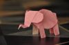 Elephanteau_-_Avant.jpg