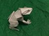 Grenouille.jpg
