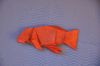 Poisson_Apr-2017.jpg