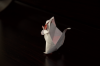 Nom du fichier=Siberian_flying_squirrel_de_Katsuta_Kyohei_-_Arriere.png
Taille du fichier=597Ko
Dimensions : 1024x681
Ajouté le : 03 Avril 2020 Siberian_flying_squirrel_de_Katsuta_Kyohei_-_Arriere.png