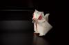 Nom du fichier=Siberian_flying_squirrel_de_Katsuta_Kyohei_-_Perspective.png
Taille du fichier=634Ko
Dimensions : 1024x681
Ajouté le : 03 Avril 2020 Siberian_flying_squirrel_de_Katsuta_Kyohei_-_Perspective.png