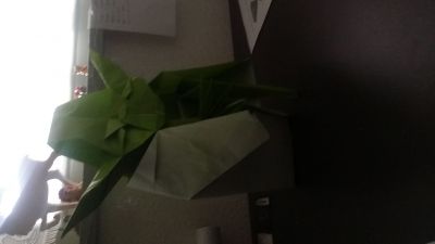 20160215_132349.jpg