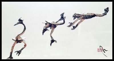 Egrets 
Modéle de Riccardo foschi 

