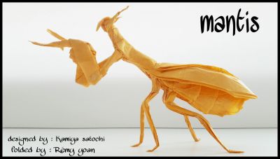 Mantis
