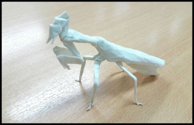 Mantis t1
