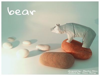 bear
