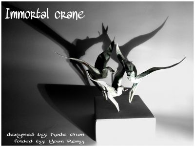 immortal crane
