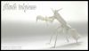 Nom du fichier=Mantis.jpg
Taille du fichier=194Ko
Dimensions : 2048x1173
Ajouté le : 27 Septembre 2016 Mantis.jpg