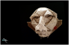 Nom du fichier=Mask3.png
Taille du fichier=835Ko
Dimensions : 1206x806
Ajouté le : 24 Décembre 2016 Mask3.png