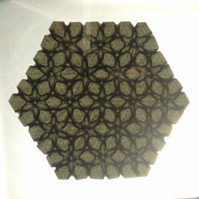 sunflower seed tessellation grand modèle hexagonal
