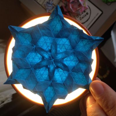 variation de sunflower seed garden tessellation
