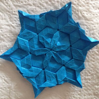 variation de sunflower seed garden tessellation
