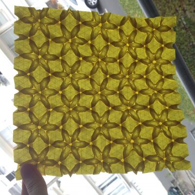 sunflower seed tessellation grand modèle carré

