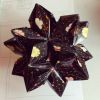 Nom du fichier=IMG_1297.JPG
Taille du fichier=328Ko
Dimensions : 1024x1024
Ajouté le : 09 Septembre 2016 IMG_1297.JPG