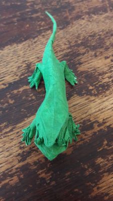 lizzard jason ku
tissue foil alu +unryu
