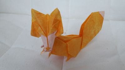 fox roman diaz
double tissue unryu
