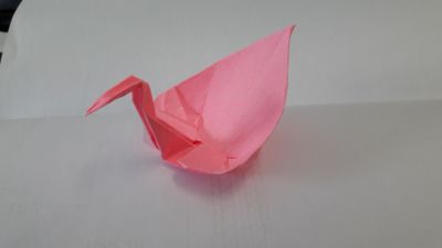 lovely bird
1ere creation
