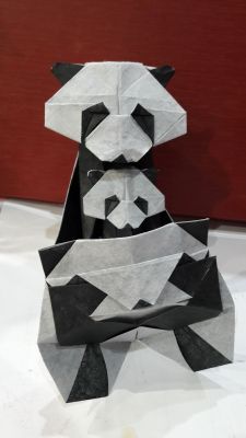 20170416_014529.jpg
