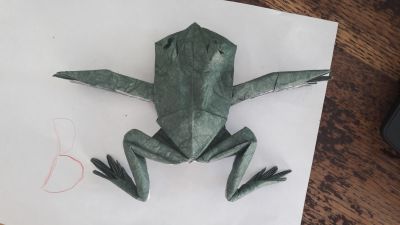 20170601_121911.jpg