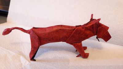 20170606_212954.jpg