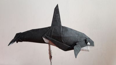 20170620_204711.jpg