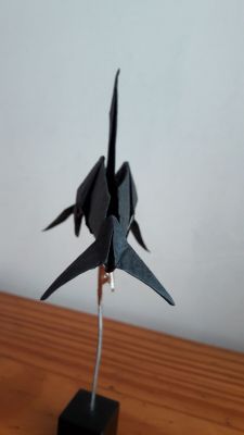 20170620_204800.jpg