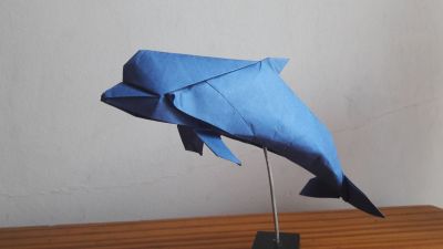20170702_202231.jpg