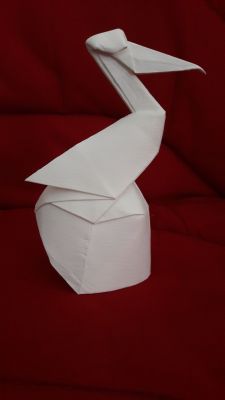 20170925_091746.jpg