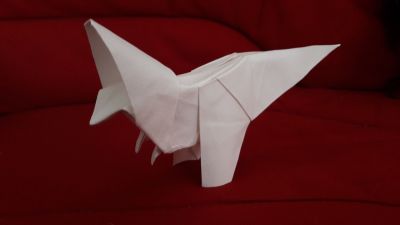 20170925_091845.jpg