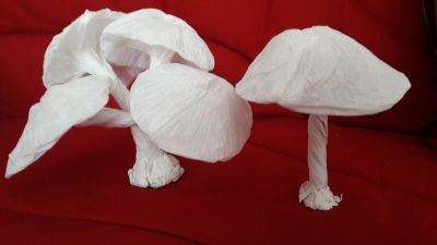 20170925_092233.jpg