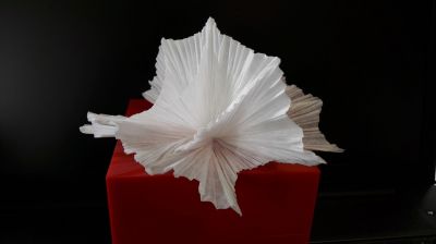 20170929_171009.jpg