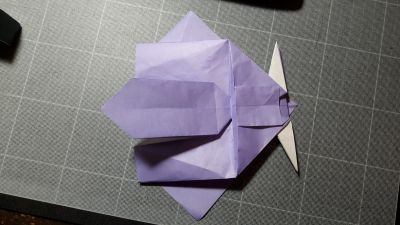 20180105_193105.jpg