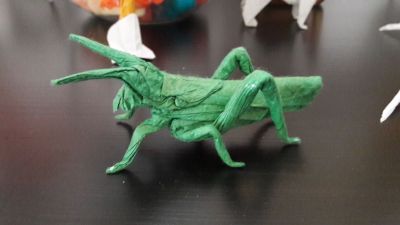 20180331_110615.jpg