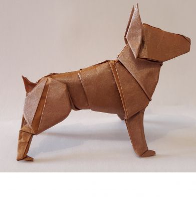 bull terrier edwin sylar (aep convention book 2013)
tissue foil 30x30
