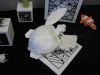 Nom du fichier=IMG_1254.JPG
Taille du fichier=243Ko
Dimensions : 2048x1536
Ajouté le : 01 Novembre 2017 IMG_1254.JPG