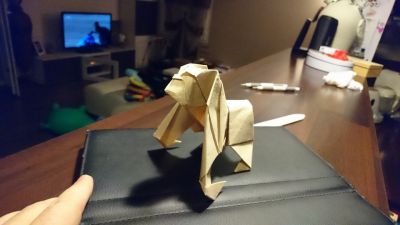 14051697_1747983612135162_8495855641882983169_n.jpg