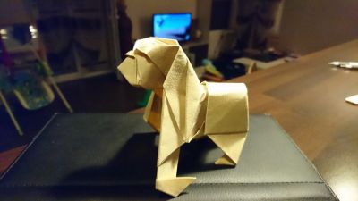 14054153_1747983712135152_809683814061520327_n.jpg